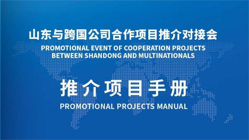 山东与跨国公司合作项目推介对接会推介项目手册