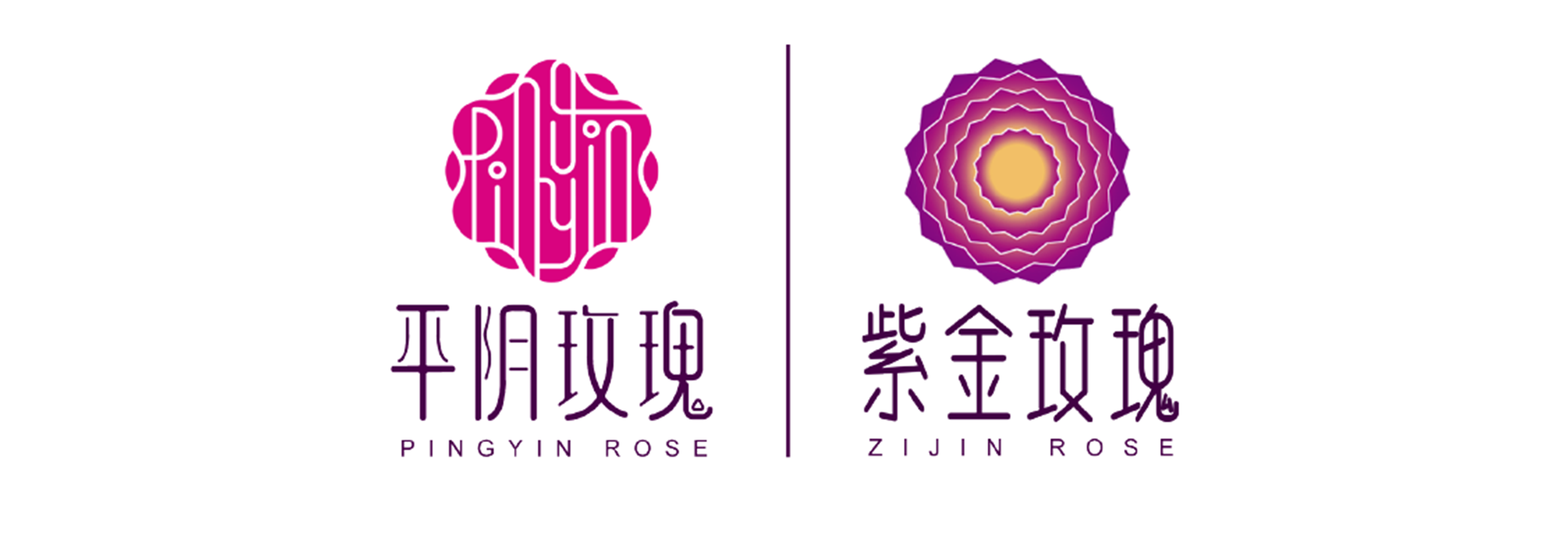 济南紫金玫瑰股份有限公司
